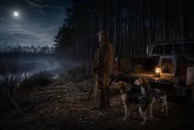 Southern Coonhound Traditions